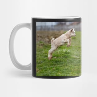 Baby goat jumping Mug